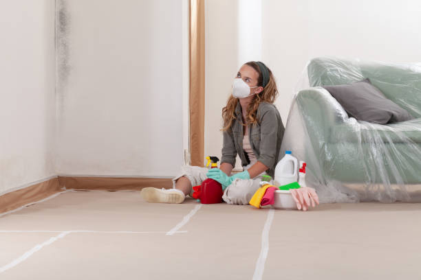 Reliable Mold Remediation contractor in Green Cove Springs, FL by Cheap Mold Removal